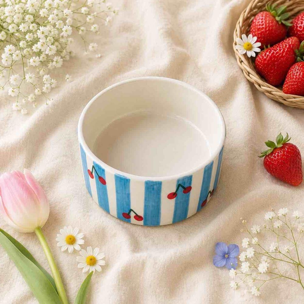 Sky Blue Stripe & Cherry Ceramic Bowl — Ceramic Bowl